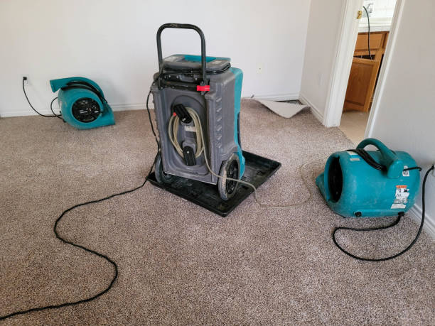 Reliable Englewood, NJ Water damage restoration Solutions