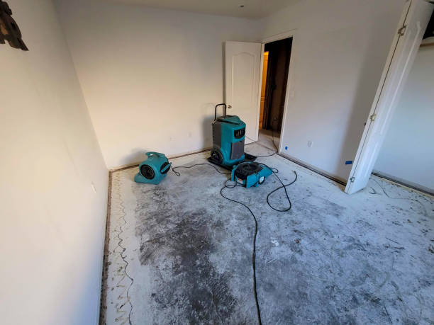 Best Flood restoration services  in Englewood, NJ