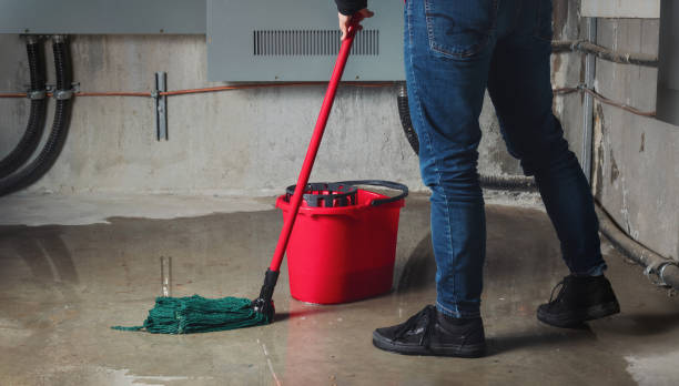 Best Water damage restoration near me  in Englewood, NJ