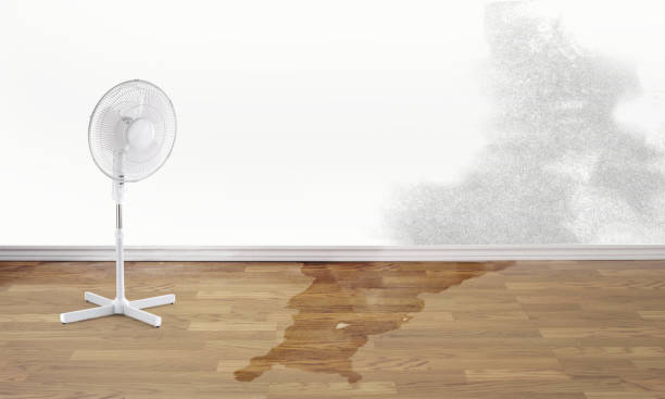  Englewood, NJ Water damage restoration Pros