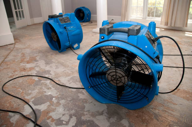 Best Mold removal after water damage  in Englewood, NJ
