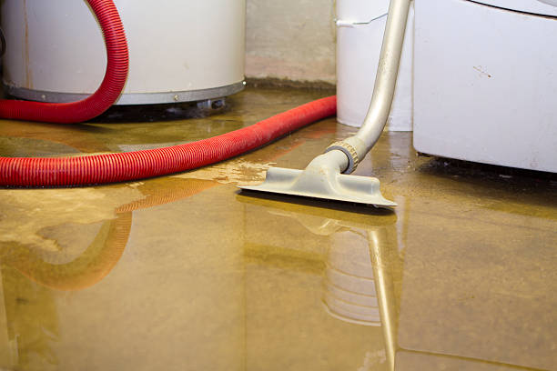 Best Sewage cleanup and water damage restoration  in Englewood, NJ