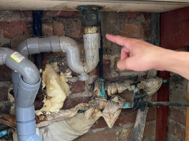 Best Flood damage cleanup  in Englewood, NJ